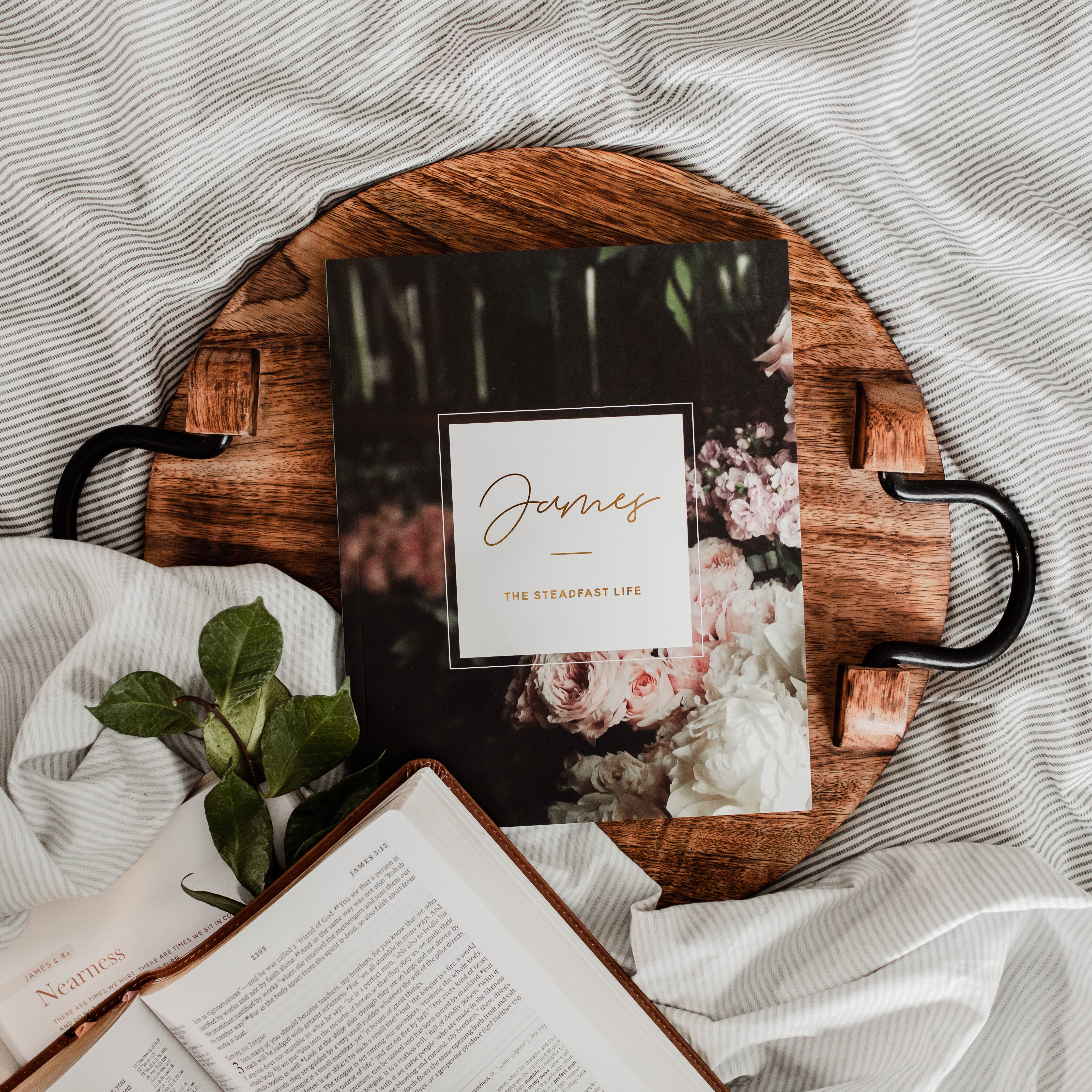 James | The Steadfast Life | TDGC | The Daily Grace Co.