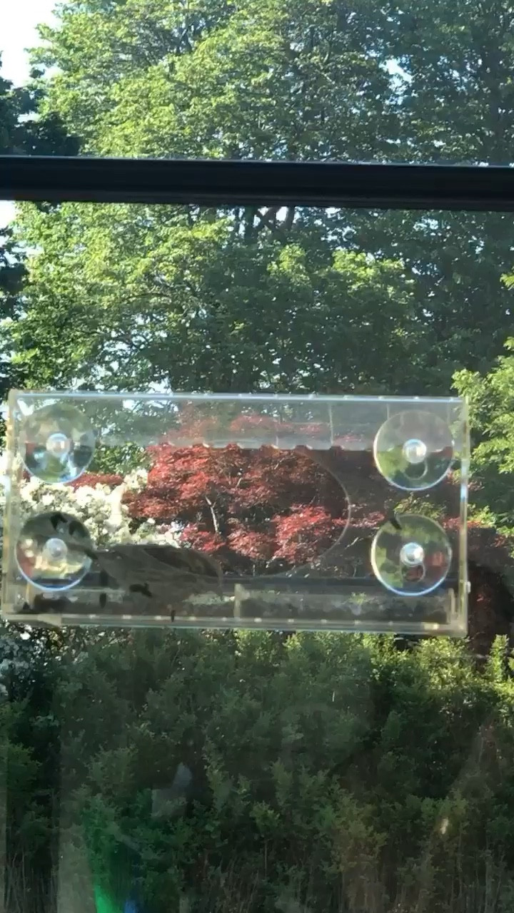 🐦‍⬛🤗

Follow @MichelleKutsak 

#ltk #ltkunder #liketkit #ltkfashion #ootd #liketoknowit #fashionblogger #fashion #discoverunder #fallfashion #ltkstyle #style #targetstyle #styleinspo #ltkit #blogger #fashionover #ltkfall #l #ootdfashion #falldecor #party #beauty #jeans #mothersday #fathersday #christmas #Hanukkah #bride #groom #pets #dog #hair #sunglasses #homedesign #neutralhome #k #farmhouse #ltkspring #interiorstyling #beautifuldecorstyles #amazonfinds #targetdoesitagain #interiordecorating #amazonhome #potterybarn #amazonfashion#amazonstyle #modernhome #amazon #amazonfinds #amazonstyle #style #fashion #etsy #etsyhome #hm #hmstyle #hmhome #hmdecor #anthropologie #forever21 #aerie #tjmaxx #marshalls #zara #asos #h&m #blazer #louisvuitton #mango #beauty #chanel #home #homedecor #decoration #interiordesign #design #neutral #lulusdesigner #inspired #lookforless #dupes #sale #deals #dailyposts#crateandbarrell #sneakers #shoes #mules #sandals #heels #booties #boots #hat #abercrombie #gold #jewelry #contemporary #dior #celine #midsize #curves #plussize #dress #luggage #vintage #gucci #lv #purse #knit #jeans #denim #modern #diningroom #livingroom #bag #handbag #bedroom #kitchen #styled #stylish #trending #trendy #summer #summerstyle #summerfashion #chic #chicdecor #black #white #neutral #jeans #christmas #hanukkah #gifts #denim #liketkit #ltkunder50 #ltkunder100 #ltkstyletip #ltksalealert #ltkshoecrush #ltkhome #ltkholidaystyle #ltkspring #ltkfamily #ltkitbag #ltkbeauty #ltkeurope #ltk #weltkulturerbe #ltkkids #ltkstyle #ltkbaby #ltkcurves #ltktravel #ltkbump #ltkfashion #ltkfit #ltkswim #ltkit #stayhomewithltk #ltkunder25 #beltkeren #beltkulit #ltkholidaywishlist #ltkworkwear #ltkholidayathome #renaultkwid #ltkholidaygiftguide @liketoknow.it @ltk

#LTKfamily #LTKfindsunder50 #LTKkids