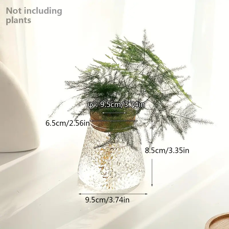 Glass Planter Propagation Station Vase Rack Tabletop - Temu | Temu Affiliate Program