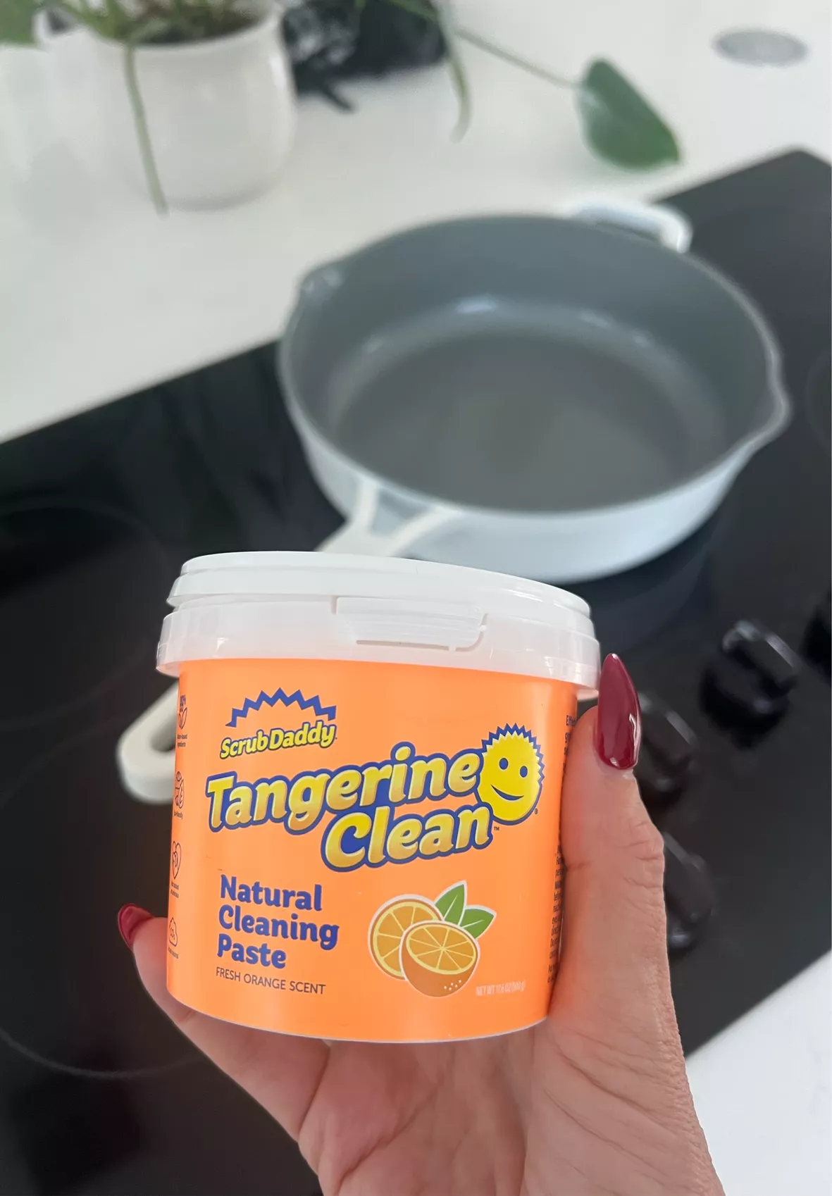 Scrub Daddy Tangerine Cleaning … curated on LTK
