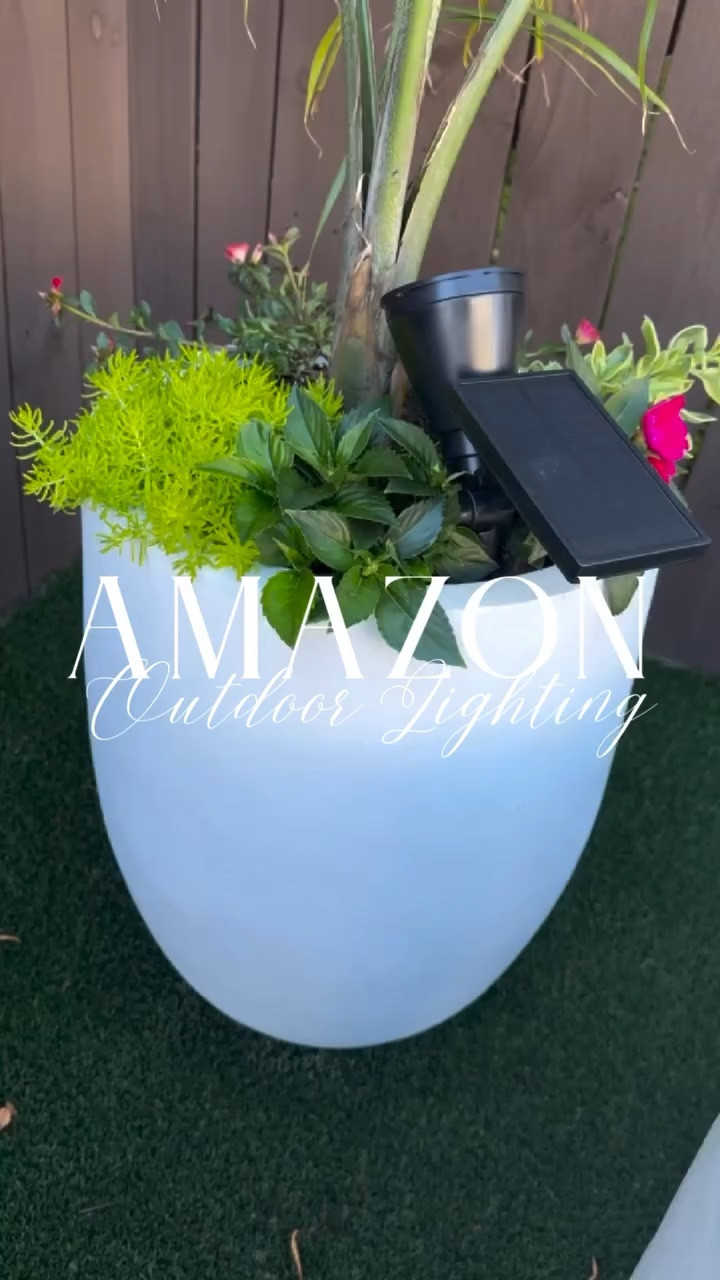 Our backyard and pool patio completely transform at night thanks to these simple solar lights — and the best part… no wiring, no electrician, and they charge by the sun.

I’m sharing 3 of my favorite outdoor solar lights from Amazon that we use all around our yard! All three options are waterproof, super easy to install, come in multi-packs, and charge all day in the sun for light all night.

Such a simple upgrade that makes our backyard feel so much more elevated and cozy for spring evenings.

Follow for more affordable home finds, backyard ideas, and easy upgrades.

#amazonhomefinds
#outdoorlighting
#backyarddecor
#patiodecor
#backyardinspo

#LTKHome