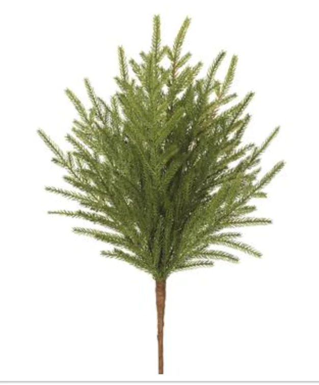 20" Norfolk Pine Spray | Cottonwood Company