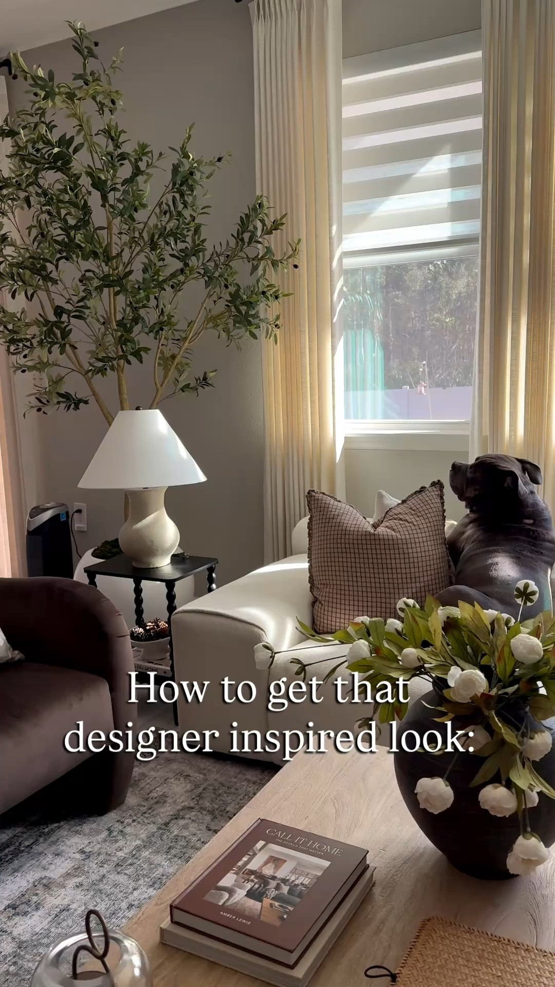 My favorite faux olive tree is back in stock and on sale! 

Amazon home finds, living room, olive tree 

#LTKHome #LTKSeasonal #LTKSaleAlert