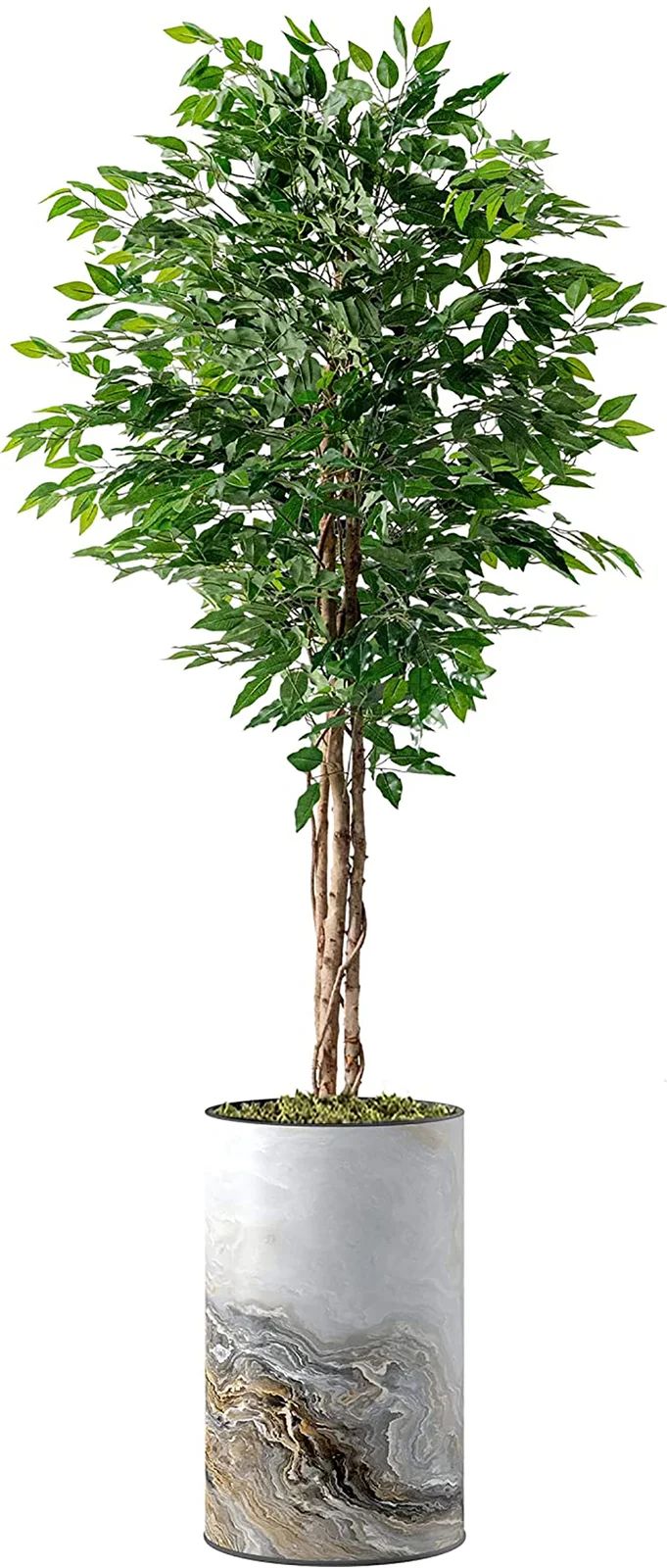 Artificial Tree In Modern Planter, Fake Ficus Silk Tree Home Decoration (Plant Pot Plus Tree) | Wayfair Professional