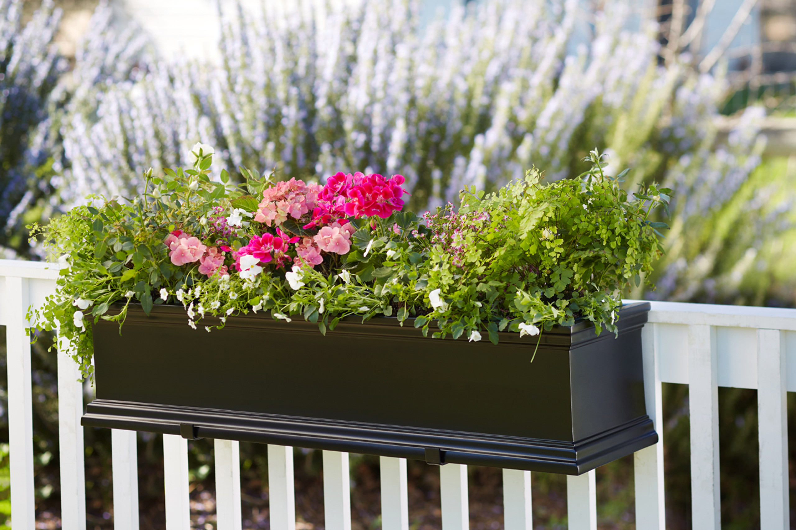 Black Laguna Window Box | Hooks and Lattice