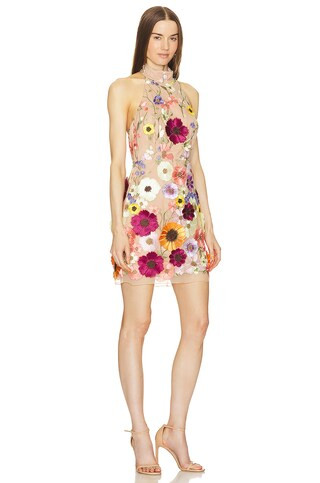 MILLY Hariet Floralis Embroidered Mini Dress in Multi from Revolve.com | Revolve Clothing (Global)