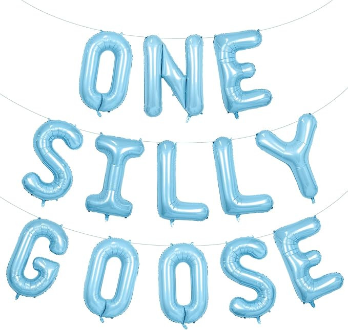One Silly Goose Balloons Banner 16 Inch, Blue Geese 1st Birthday Party Decorations, Goose Foil Le... | Amazon (US)