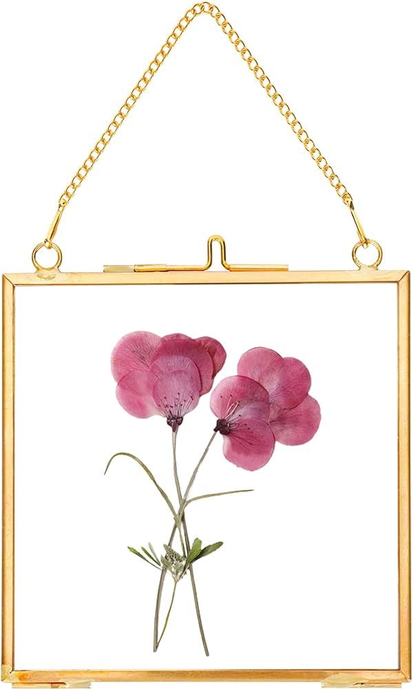 REDHUGO Glass Pressed Flower Frames,Vintage Hanging Picture Frames with Chain,Handmade Brass Floa... | Amazon (US)