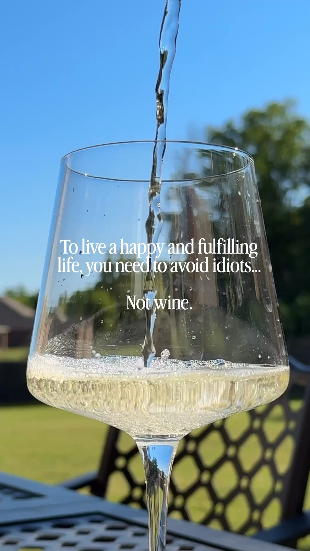 My favorite everyday wine glass