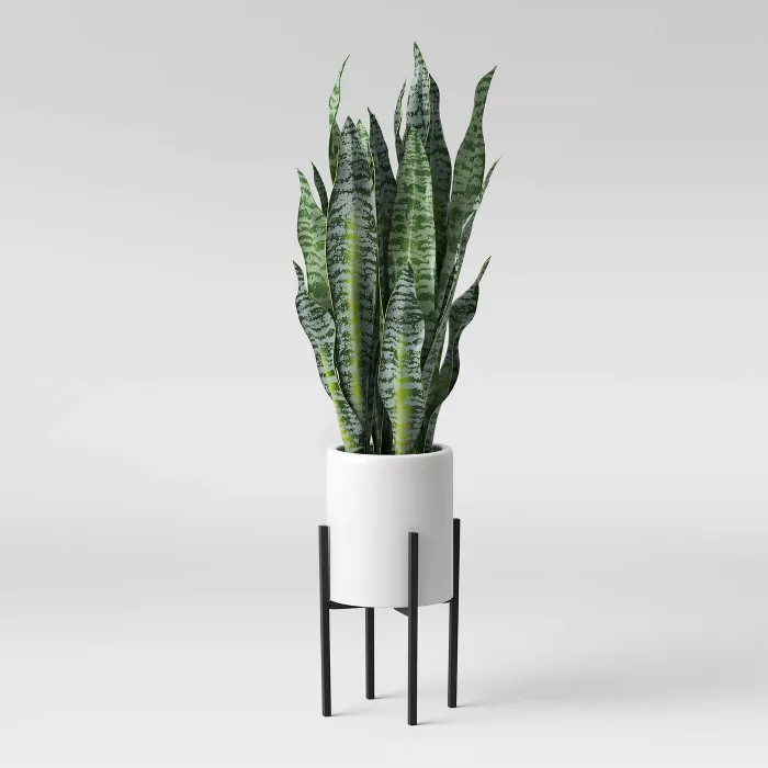 36" x 10" Artificial Snake Plant in Standing Planter White - Project 62™ | Target