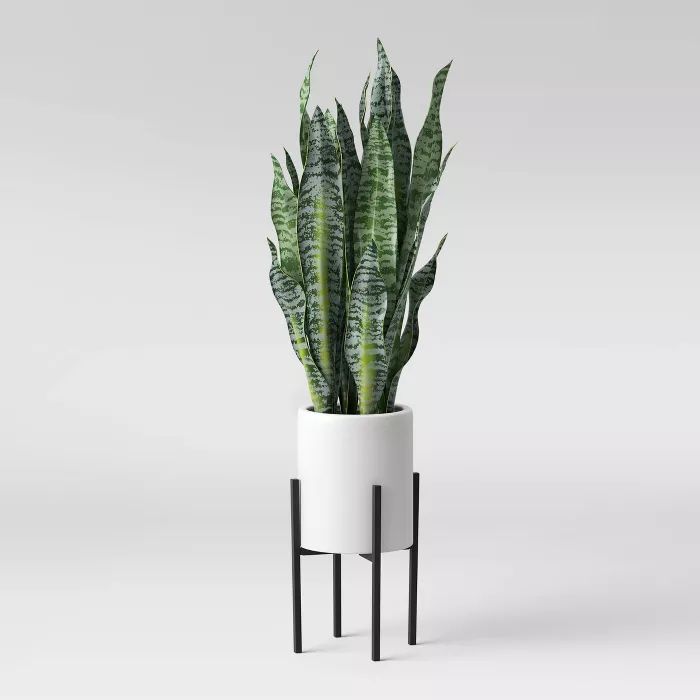 36" x 10" Artificial Snake Plant in Standing Planter Green/White - Project 62™ | Target