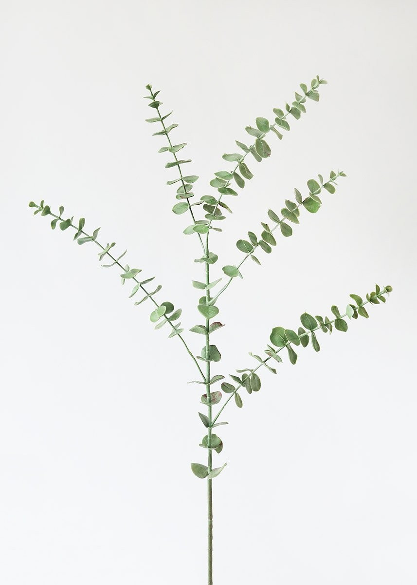 Faux Spiral Eucalyptus Leaf Branch - 44" | Afloral (US)