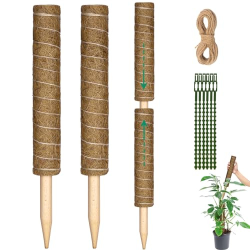 Moss Pole 31.5 Inch, 2 Pcs Moss Pole Monstera Plant Support, 18 Inch Coir Totem Pole Moss Stick for Climbing Plants Indoor Monstera Extension, Train Potted Creepers to Grow Upwards | Amazon (US)