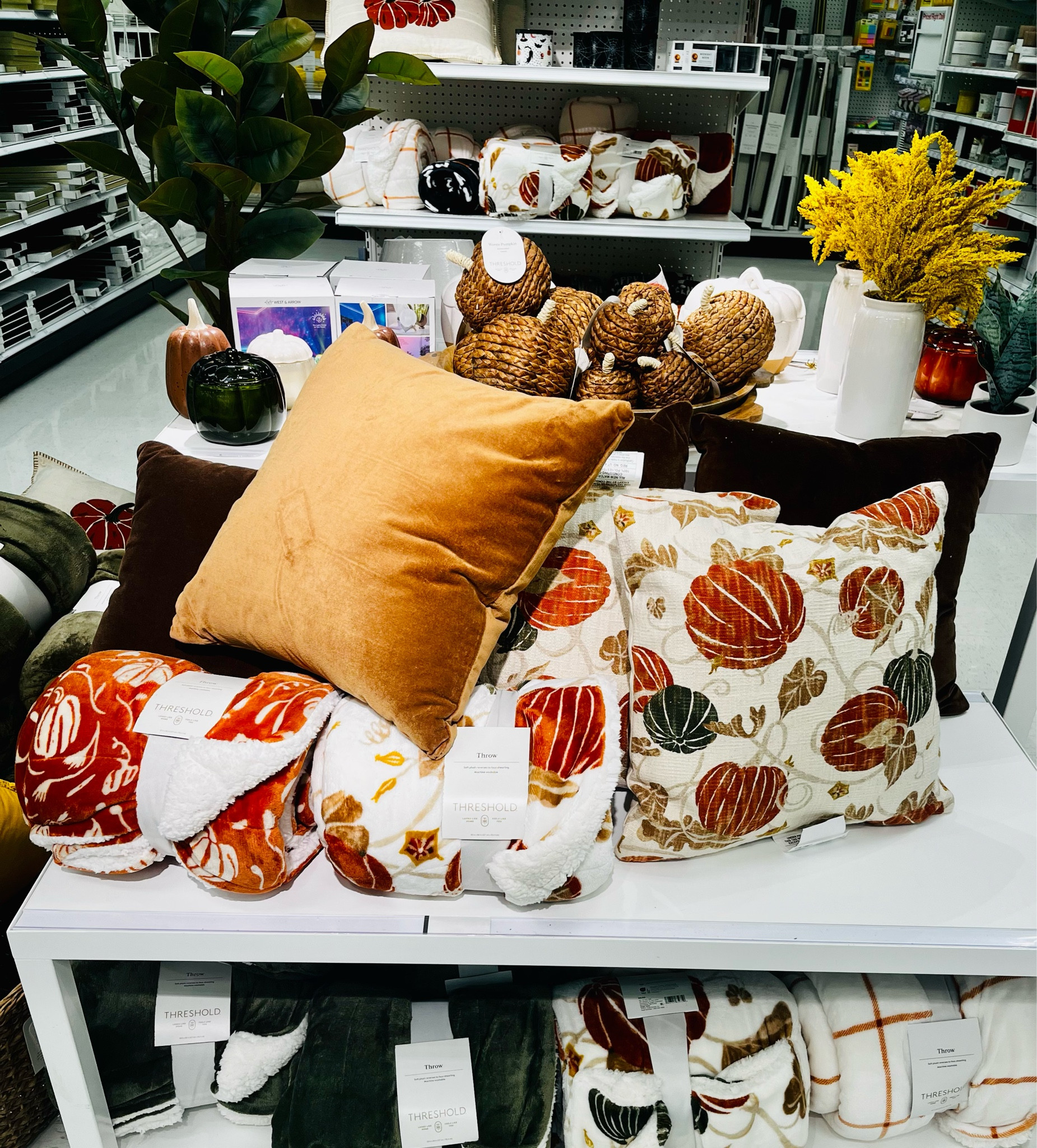 Fall decor from Target 🍂

#target #homedecor #falldecor #targethome

#LTKhome #LTKSeasonal #LTKstyletip