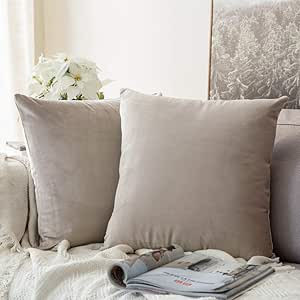 MIULEE Pack of 2, Velvet Soft Solid Decorative Square Throw Pillow Covers Set Cushion Cases Pillo... | Amazon (US)