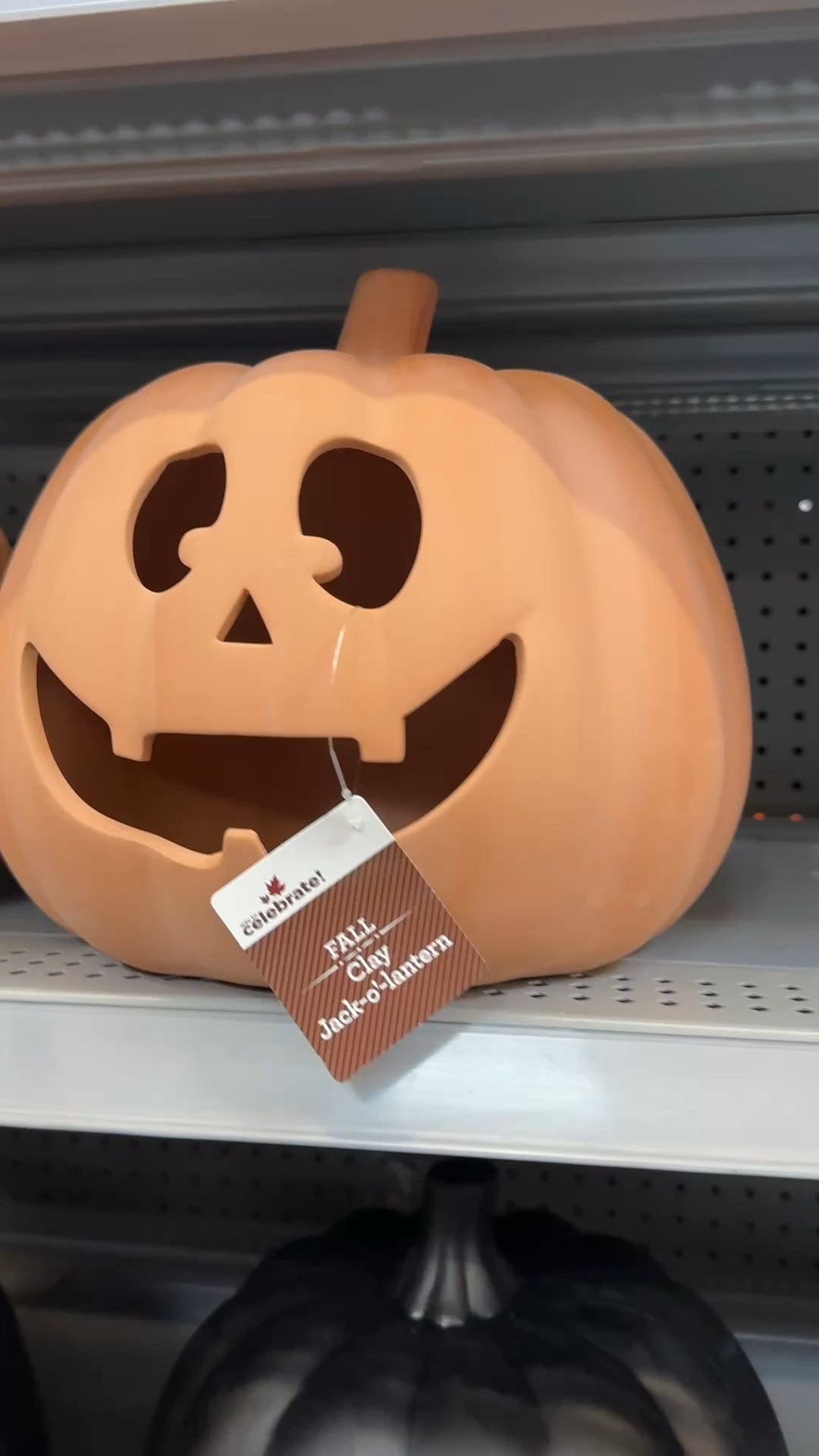 Halloween Decor 🎃 
Walmart is showing up and showing out this year with their Halloween and Fall Seasonal Decor! These terra-cotta pumpkins are a great size and are so cute!
 

#LTKHome #LTKSeasonal #LTKFindsUnder50