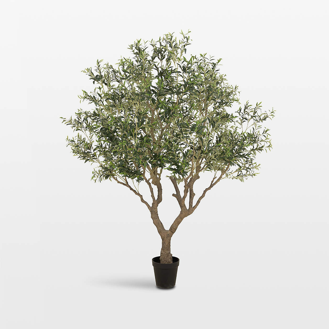 Faux Wide Olive Tree 8' | Crate & Barrel | Crate & Barrel