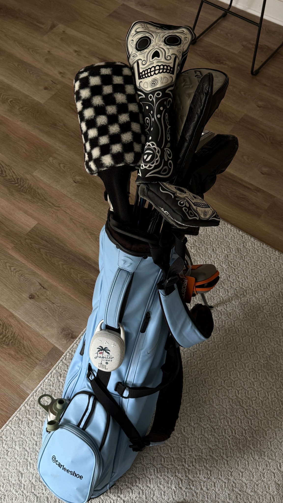 Golf bag and headcovers 