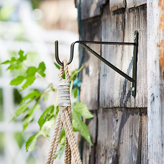 Iron Wall Plant Hanger | Terrain