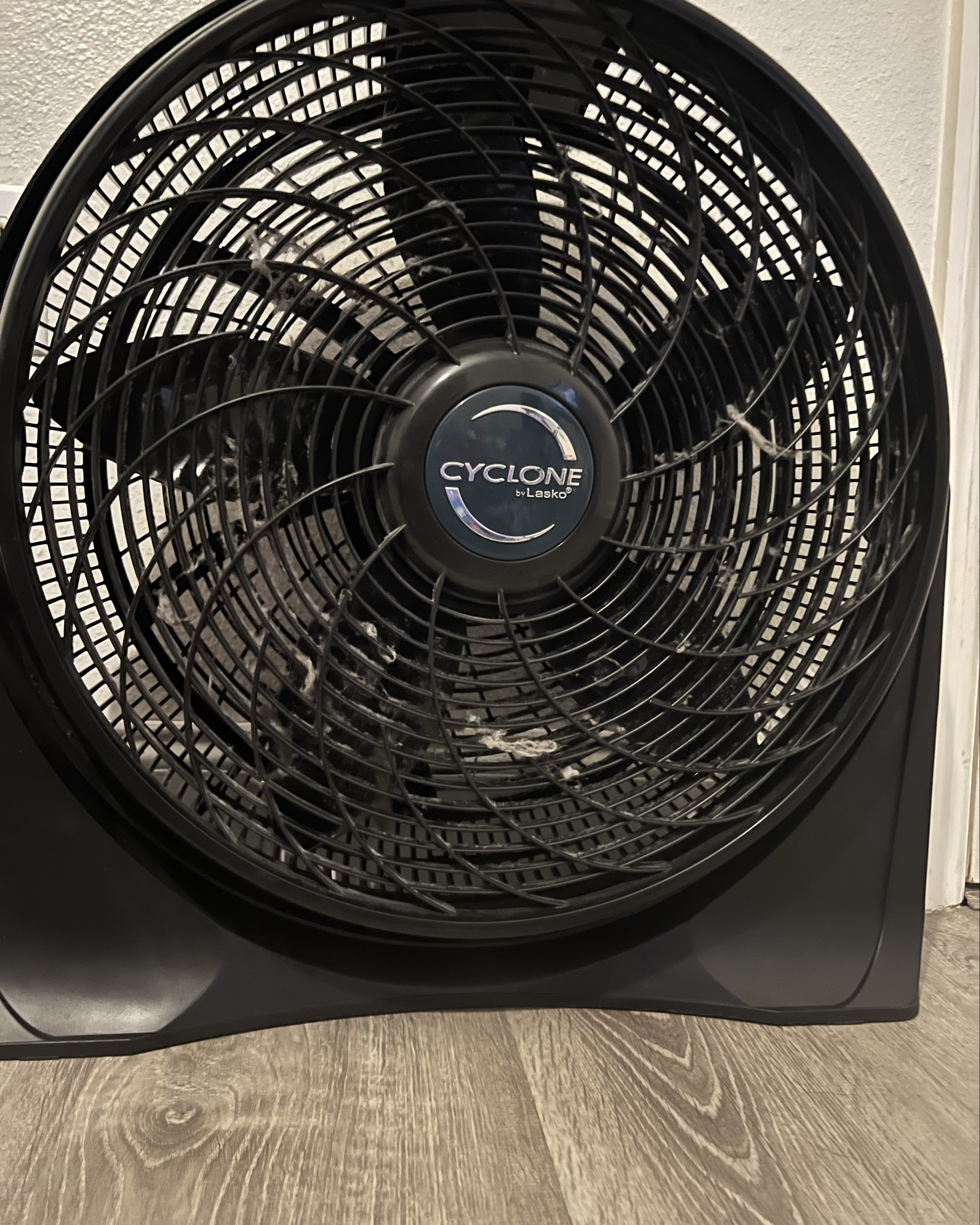 Perfect fan to keep you cool!! 

#LTKGiftGuide #LTKHome #LTKHoliday