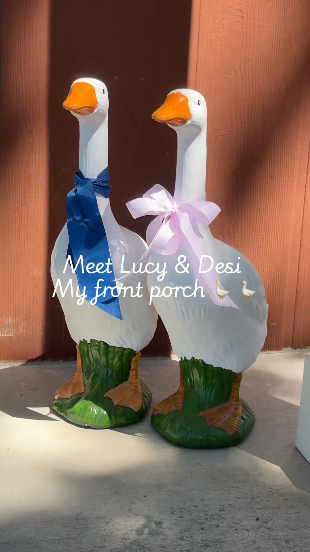 Front porch geese are so fun! 

#LTKSeasonal #LTKdayinmylife #LTKstorytime