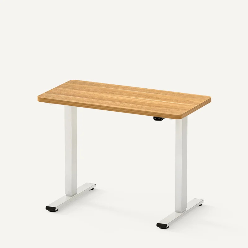 Standard Standing Desk (E2) | FlexiSpot