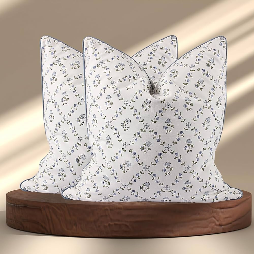 Ridhi Powder Blue Block Print Preppy Grandmillennial Pillow Cover Set of 2-18" x 18" Throw Pillow... | Amazon (US)