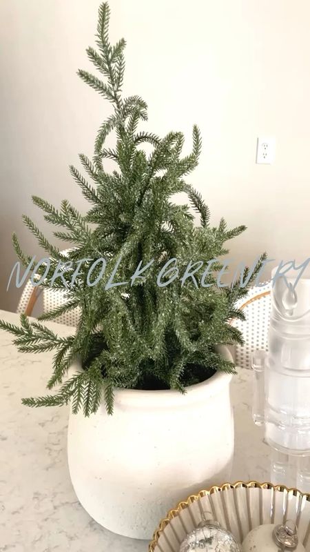 Kirklands Norfolk greenery
Norfolk garland
Norfolk wreath
Norfolk potted plant
Christmas decor 

#LTKHolidaySale #LTKSeasonal #LTKHoliday