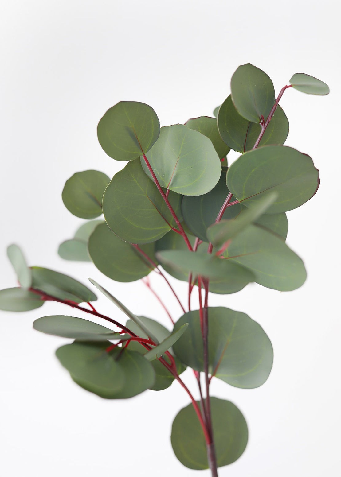 Silver Dollar Eucalyptus Fake Leaves Stem - 26.5" | Afloral (US)