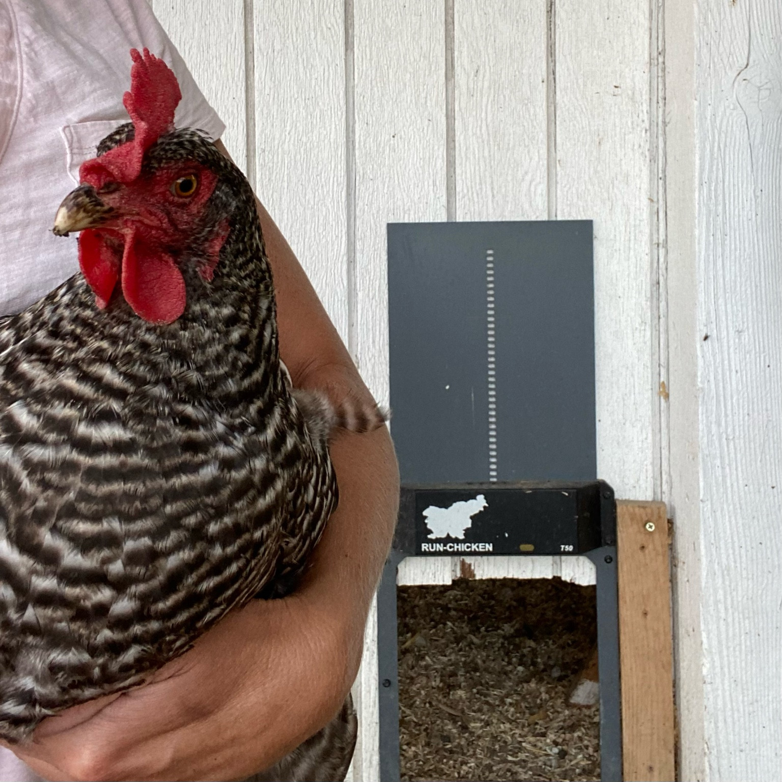 Life changing automatic chicken coop door! It automatically opens when the sun comes up and closes at night when it gets dark. I’ve never had a chicken locked out and I sleep easy knowing they are safe! 

#LTKhome