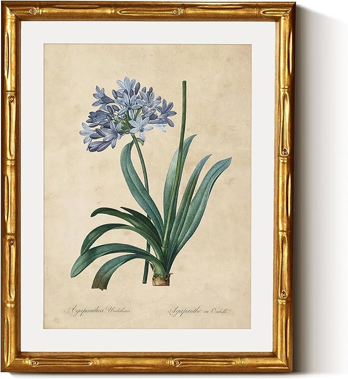 InSimSea Gold Bamboo Framed Canvas Wall Art, Retro African Lily Botanical Prints, Antique Floral ... | Amazon (US)