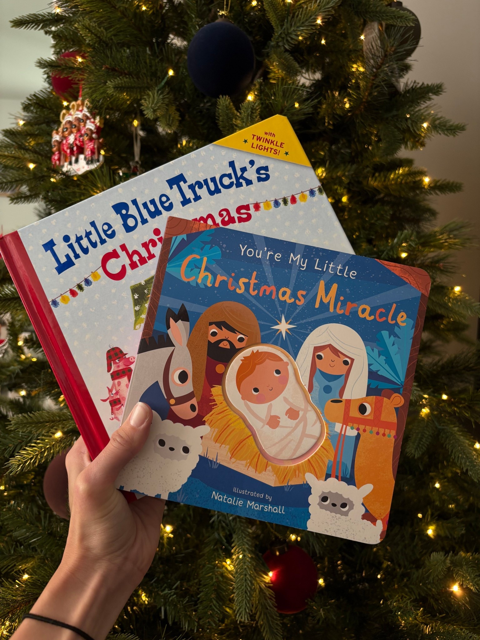 Christmas books for baby 🎄



#LTKHoliday #LTKBaby #LTKGiftGuide