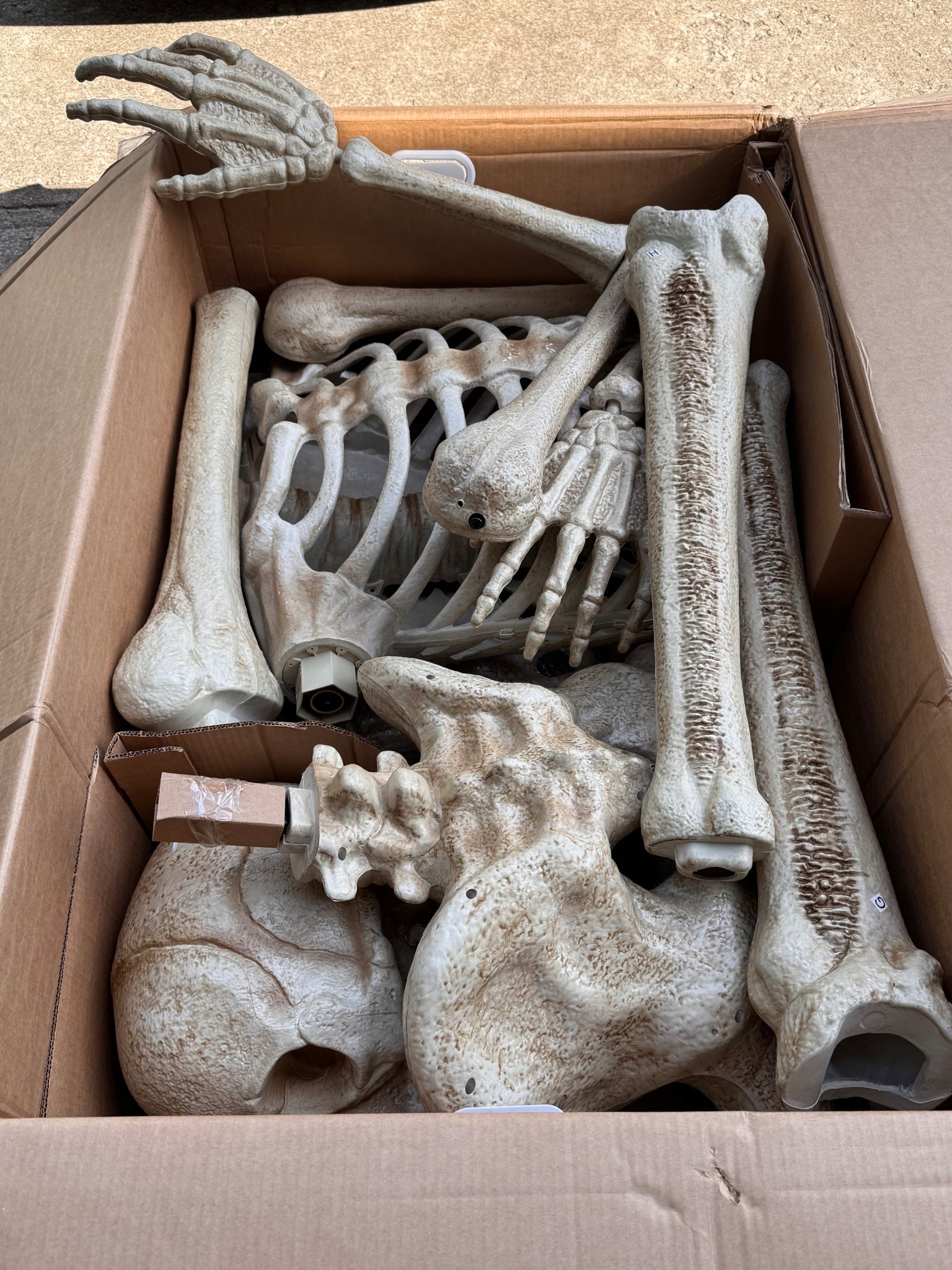 It’s time…💀

#LTKFallSale #LTKSeasonal #LTKHome