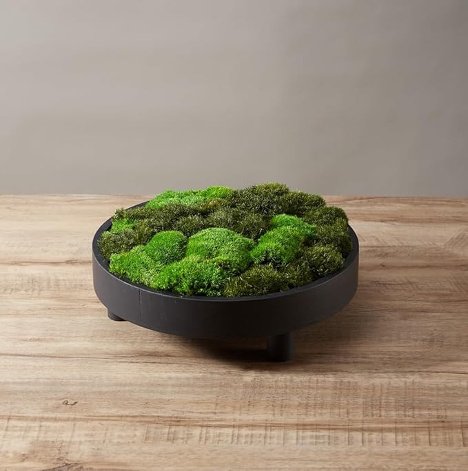 2 Color Mix Pack Preserved Pole Moss Pillow Bun Cushion Natural Decorative Green DIY Kit Art Wall... | Amazon (US)