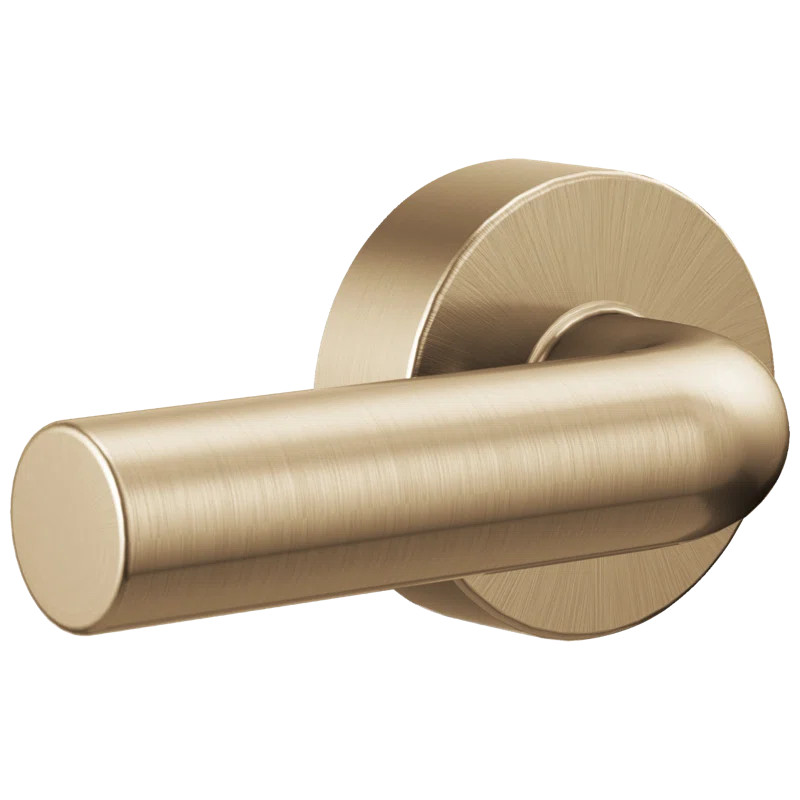 Litze® Universal Flush Lever | Wayfair North America