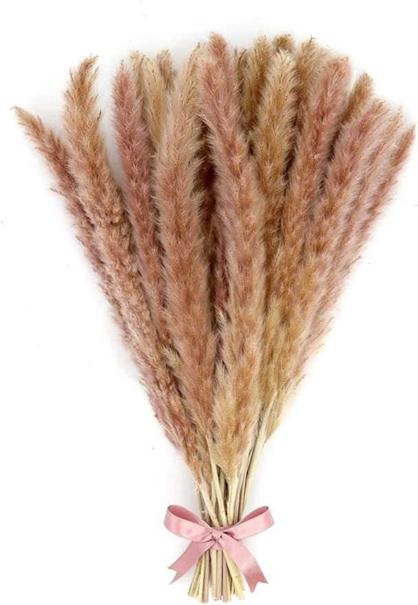 Favorlist Dried Pampas Grass Decor – 30 Pieces Pampas Grass – Fluffy Grass Decoration –Boho... | Amazon (US)