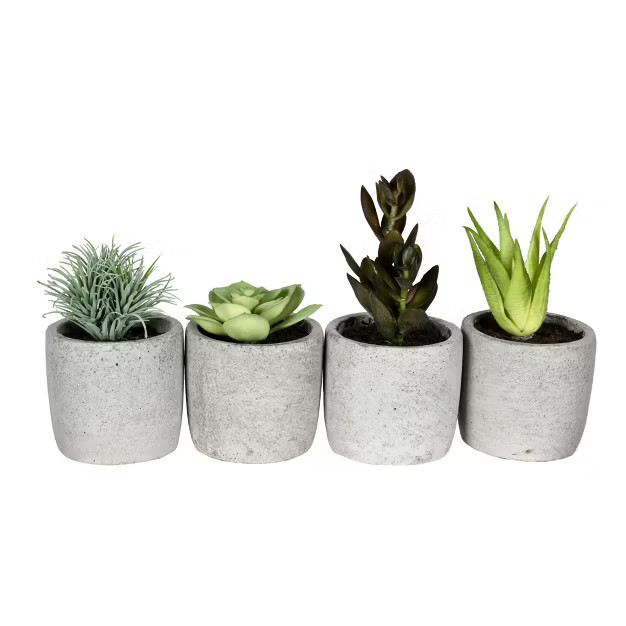 Vickerman Artificial Assorted Potted Artificial Succulents | Target