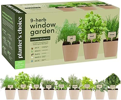 Window Herb Garden - Indoor 9 Herb Starter Kit - Unique Gardening Gifts for Women & Men, Mom, Her... | Amazon (US)