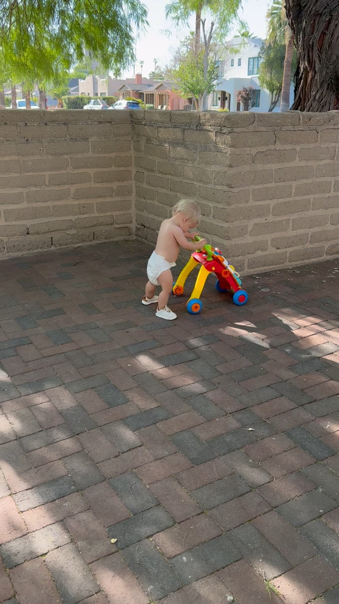 Baby learning to walk! Got him these baby tennis shoes from the rec of a pediatric physical therapist! Lots of colors 

#LTKBaby #LTKSaleAlert
