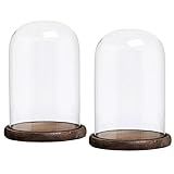 MyGift 10 x 7 Inches Clear Glass Cloche Bell Jar Display Case with Round Wood Base, Set of 2 | Amazon (US)