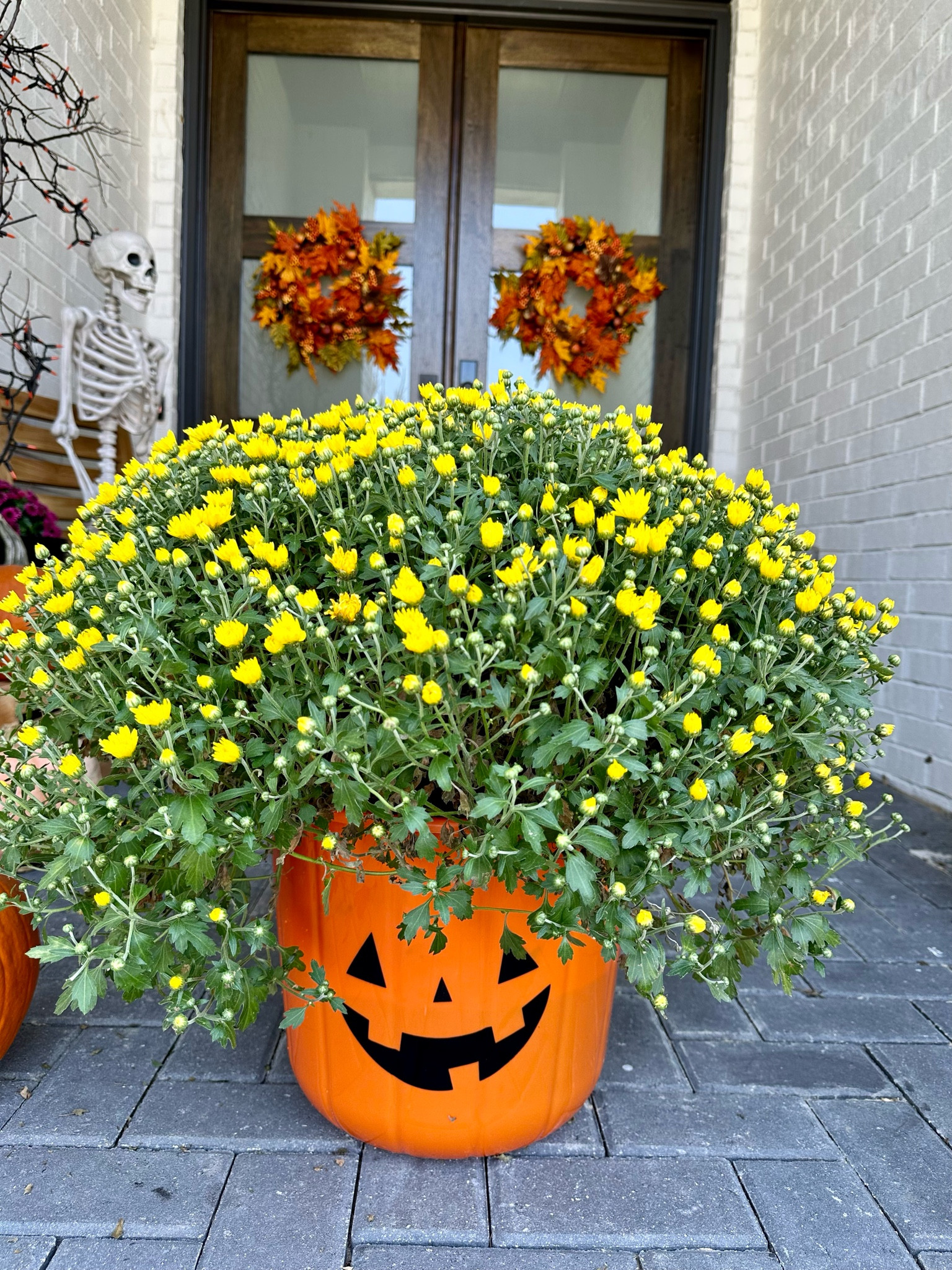 Trick or treat pail that doubles as a planter

#LTKHalloween #LTKhome #LTKSeasonal
