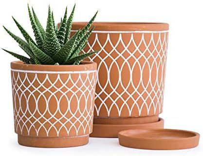 Set of 2, Terracotta Plant pots, Line Pattern Design, 4 Inch and 6 Inch, Planter Pot with Drainag... | Amazon (US)