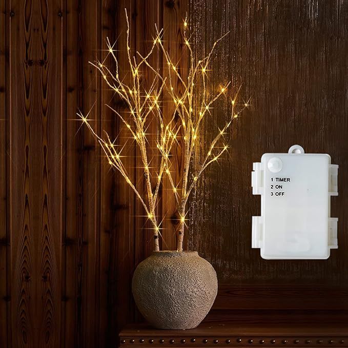 Fudios Lighted Tree Branches with Timer Birch White LED Twig Lights 100L 36IN Battery Operated Fa... | Amazon (US)