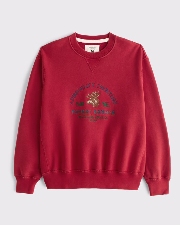 Graphic Logo Crew Sweatshirt | Abercrombie & Fitch (US)