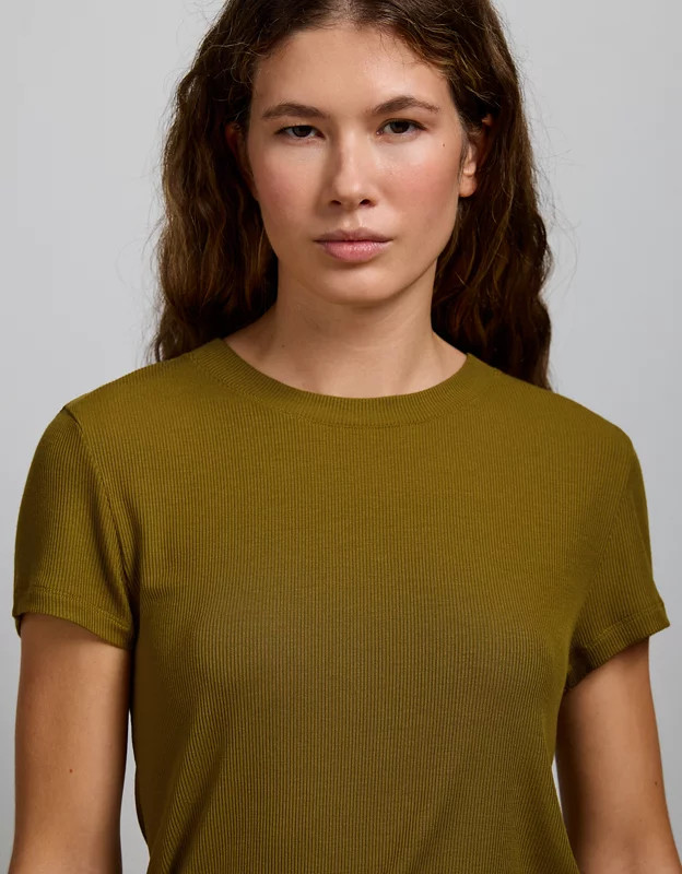 AE77 Premium Ribbed T-Shirt | American Eagle Outfitters (US & CA)