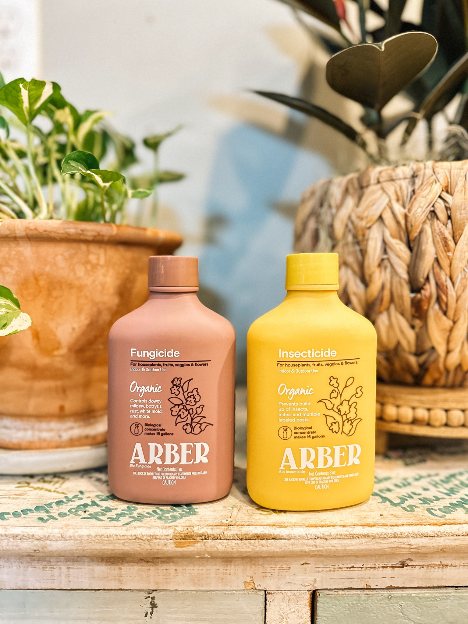 Houseplant essentials.
Plant insecticide 
Plant fungicide 

#LTKfindsunder50 #LTKhome #LTKSeasonal