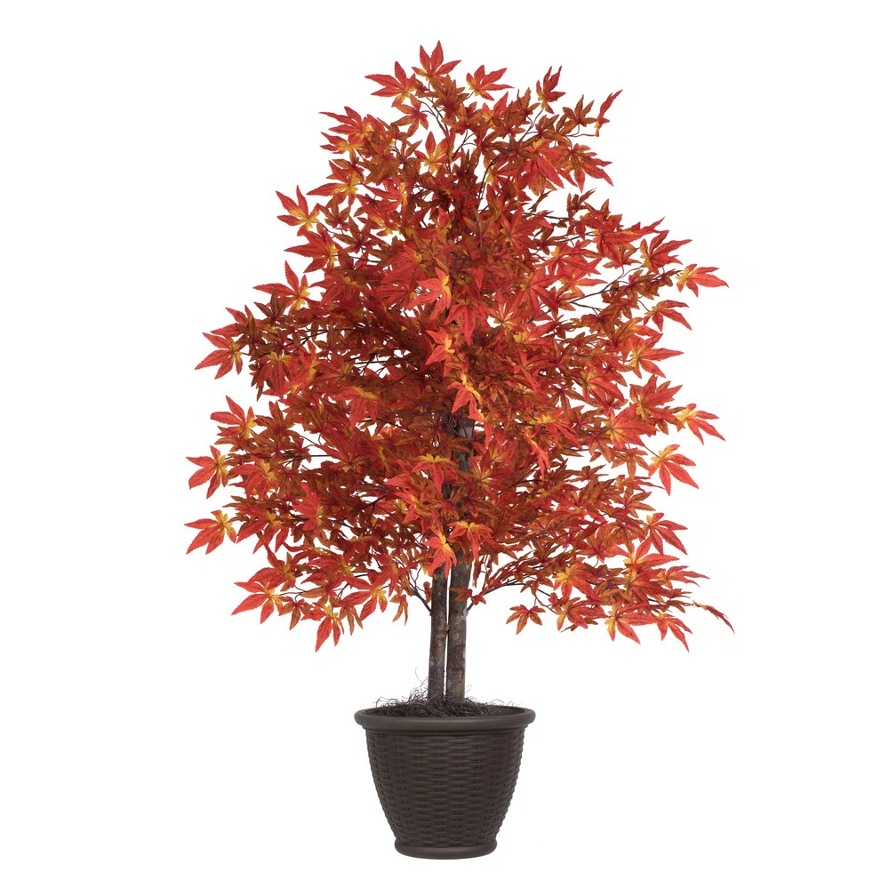 {"@context":"https://schema.org","@type":"BreadcrumbList","itemListElement":[]}Home/SKU: W0066916... | Wayfair North America