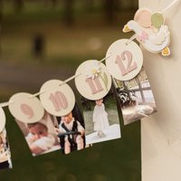 One Silly Goose Monthly Photo Banner, Baby First Birthday Decorations | Etsy (US)