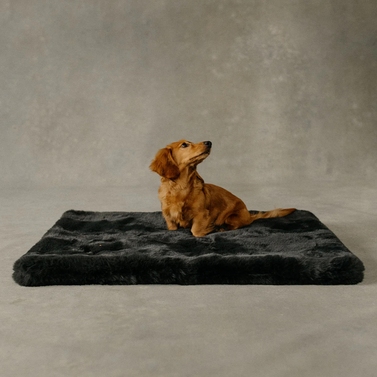The Lola Pet Pad | Charcoal Grey | Lola Blankets