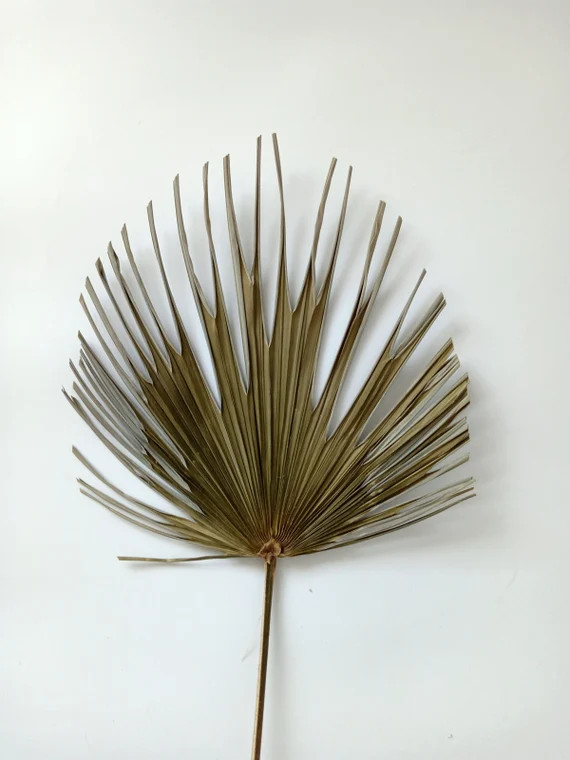 5 Pieces Sun Palm Fronds Dried  Leaf Fans Dried Palms Sun | Etsy | Etsy (US)
